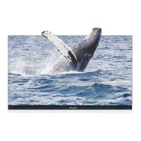 Absen Absenicon C138 - 351 cm (138") Diagonalklasse 3.0 Series LCD-Display mit LED-Hintergrundbeleuchtung