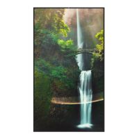 Hisense 55WH80F, Digital Signage Flachbildschirm, 139,7 cm (55"), LED, 3840 x 2160 Pixel, WLAN, 24/7