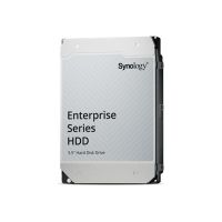 Synology Festplatte - Enterprise - 12 TB - intern - 3.5" (8.9 cm)