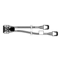 Lenovo SATA-Kabel - 40/35 cm