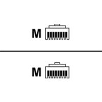 Perle Systems Perle - Netzwerkkabel - RJ-45 (M) zu RJ-45 (M)