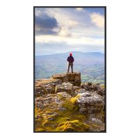 NEC Sharp Large Format Display E439