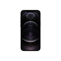 Apple iPhone 12 Pro Max - 5G Smartphone - Dual-SIM / Interner Speicher 256 GB