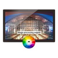 BRAUN PHOTO Braun DigiFrame 240 Business Line - Digitaler Fotorahmen - 61 cm (24")