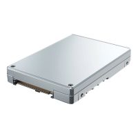 Intel Solidigm D7 Series D7-P5520 - SSD - 3.84 TB - intern - 2.5" (6.4 cm)