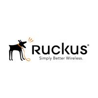 Ruckus End User WatchDog Premium Support - Technischer Support