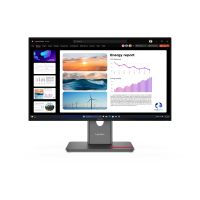 Lenovo ThinkVision P24Q-40 - LED-Monitor - 61 cm (24")
