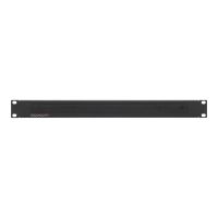 Rackmount.IT Rack-Bürstenleiste - Bürstenplatte - Jet Black - 1U - 48.3 cm (19")