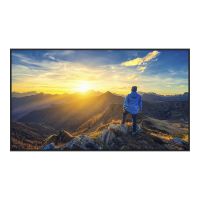 Sharp 165 cm (65") Diagonalklasse (163.8 cm (64.5")