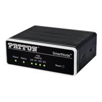 Patton SmartNode SN200 - VoIP-Gateway - 100Mb LAN