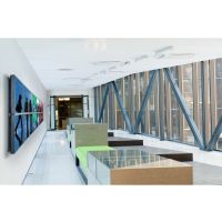 Peerless Ultra Thin Flat Video Wall Mount DS-VW650 - Befestigungskit (Wandplatte, Wandmontage, Tragschienen)