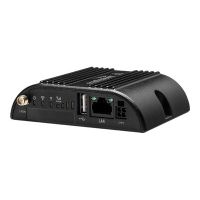 CradlePoint IBR200 Series - Wireless Router - WWAN 2,4 GHz