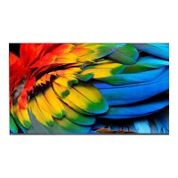 Philips 58HFL6214U - 146 cm (58") Diagonalklasse Professional MediaSuite LCD-TV mit LED-Hintergrundbeleuchtung - Gesundheitswesen / Hotel - Smart TV - Android TV - 4K UHD (2160p)