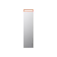 Lenovo PS8S - SSD - 2 TB - extern (tragbar) - USB 3.2 Gen 2 (USB-C Steckverbinder)