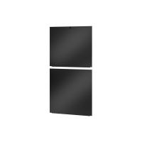 APC Easy Rack - Seitenwand für Rack - Schwarz - 42HE - 48.3 cm (19")