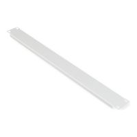 ROLINE Blindabdeckung - RAL 7035, Hellgrau - 1U - 48.3 cm (19")