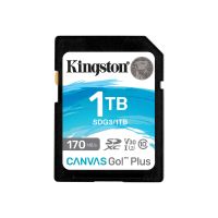 Kingston Canvas Go! Plus - Flash-Speicherkarte