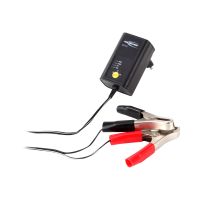 Ansmann ALCS 2-12/0.4 - Batterieladegerät - 1 x Batterien laden - 400 mA - 2 Ausgabeanschlussstellen (Krokodilklemme)