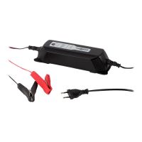 Ansmann ALCT 6-24/4 - Batterieladegerät - 4 A