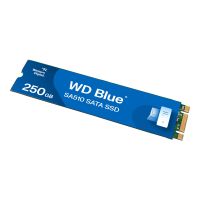 SanDisk WD Blue SA510 WDS250G3B0B - SSD - 250 GB - intern