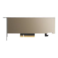 PNY NVIDIA A2 - GPU-Rechenprozessor - A2 - 16 GB GDDR6