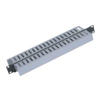 TRITON 19" panel 1U with 2x cable trunking, Schwarz, 1U