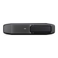 SANDISK PROFESSIONAL PRO-BLADE TRANSPORT - SSD - 4 TB - extern (tragbar)