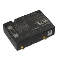 Teltonika FMB640, Auto, Schwarz, Dual-SIM, 850,900,1800,1900 MHz, IP41, 99 Kanäle