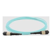 Cisco Stammkabel - MPO-12 Typ B Multi-Mode