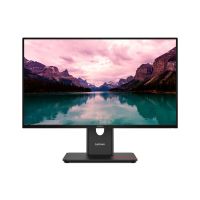 Lenovo ThinkVision T24-40 - LED-Monitor - 61 cm (24")