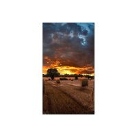Samsung VM46B-U - 117 cm (46") Diagonalklasse VMB-U Series LCD-Display mit LED-Hintergrundbeleuchtung