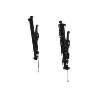 Peerless AV - Montagekomponente (Adapter mit 2 Halterungen) für LCD-Display - Schwarz - Bildschirmgröße: 101.6-165.1 cm (40"-65")