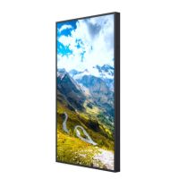 Hisense 65WF25E, 165,1 cm (65"), 1920 x 1080 Pixel, WLAN, 24/7