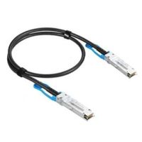 Extreme Networks 100GBase Direktanschlusskabel