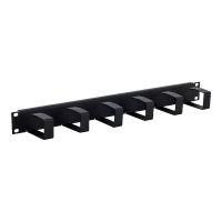 TRITON RAC-VP-X21-A1 - Kabelführungsplatte für Schaltschrank - 1U - 48.3 cm (19")