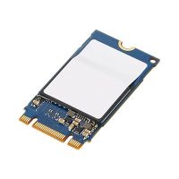 Lenovo SSD - 512 GB - intern - M.2 2242 - PCIe 3.0 x4