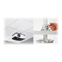 Chief Universal Suspended Ceiling Projector System - White - Befestigungskit (Anschlussplatte, Hängedeckenplatte, Spalte)