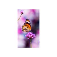 NEC Display MultiSync UN552VS - 138.8 cm (55") Diagonalklasse LCD-Display mit LED-Hintergrundbeleuchtung