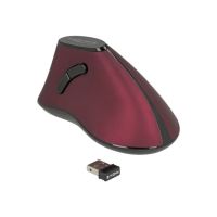 Delock Vertikale Maus - ergonomisch - Für Rechtshänder - optisch - 5 Tasten - kabellos - 2.4 GHz - kabelloser Empfänger (USB)