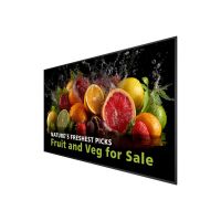 Philips 98BDL5050D - 249 cm (98") Diagonalklasse (247.7 cm (97.5")