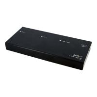 StarTech.com 2 Port DVI Video Splitter mit Audio