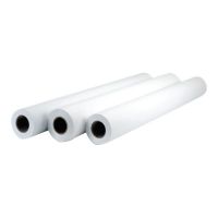 HP Professional Matte Canvas - Matt - 22 mil - Rolle (152,4 cm x 15,2 m)
