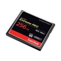SanDisk Extreme Pro - Flash-Speicherkarte - 256