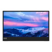Lenovo L152 - LED-Monitor - 39.6 cm (15.6") (16" sichtbar)