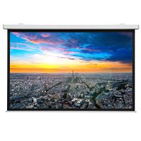 Projecta Da-Lite Compact Electrol 160x160 Matte White S, 151 cm, 151 cm, 1:1, Mattweiß