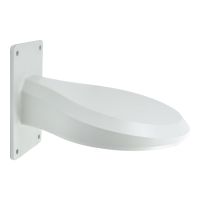 LevelOne CAS-2314 - Befestigungs-Kit für Kamerakuppel