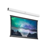 Vaddio Projecta Tensioned DescenderPro - Leinwand - Deckenmontage, Unterputzmontage - motorisiert - 230 V - 413 cm (162.6")