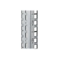 TRITON Rack-Schiene - 37U