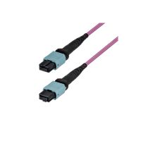 StarTech.com Startech - Patch-Kabel - MTP/MPO-12 Single-Mode (W)