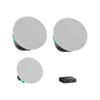 Yealink CMKIT-121 - Kit für Videokonferenzen (CM20 ceiling microphone, 2 CS10 ceiling speakers, RCH40 E2 switch)